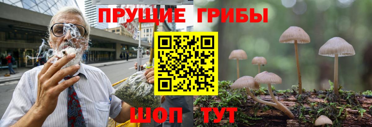 Псилоцибиновые грибы MAGIC MUSHROOMS Верхняя Салда