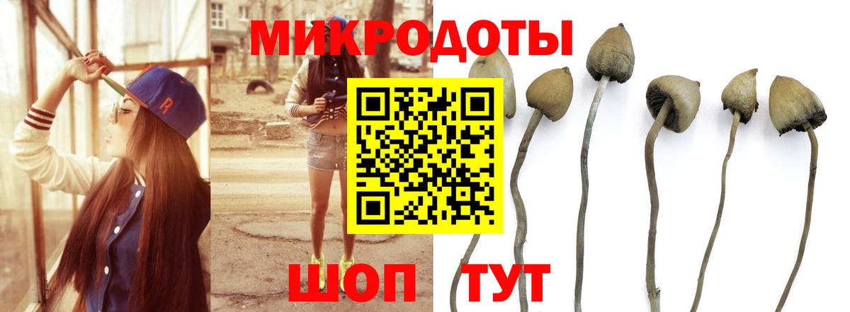 Верхняя Салда  Галлюциногенные грибы Magic Shrooms  Вход с VPN 
